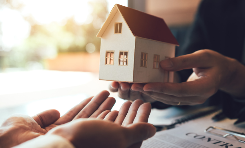 Key Features of Trupeek Com